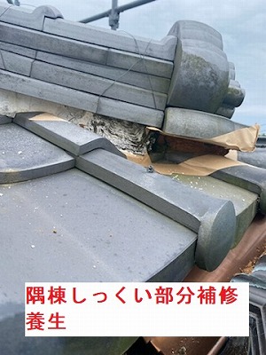 隅棟しっくい養生